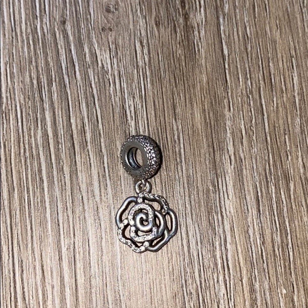 Pandora charm